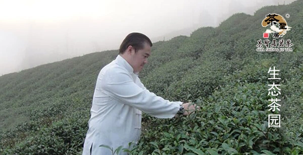 茶圣居茶叶加盟支持 茶圣居茶叶加盟支持