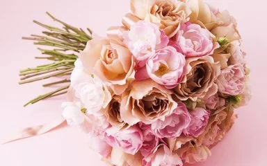花嫁喜铺加盟条件 花嫁喜铺加盟条件