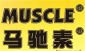 马驰素润滑油加盟