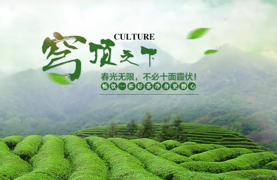神农茶叶加盟 神农茶叶加盟