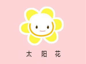 太阳花美甲加盟