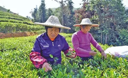 思源加盟条件 思源加盟条件