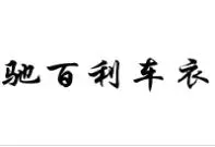 驰百利车衣加盟