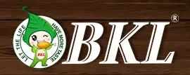 比克利BKL炸鸡加盟