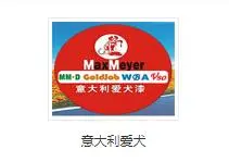 意大利爱犬加盟
