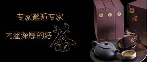 太皇袍加盟