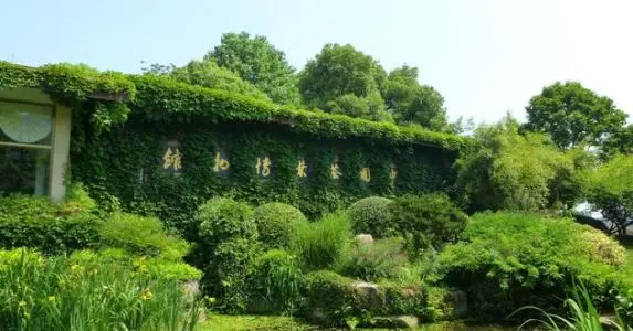 田峰山茶叶加盟优势 田峰山茶叶加盟优势