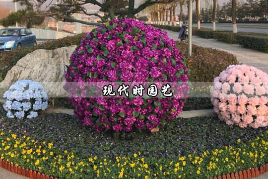 现代时园艺加盟 现代时园艺加盟
