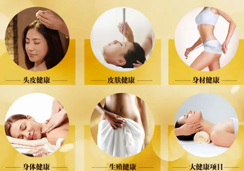 芮娜皇宫加盟