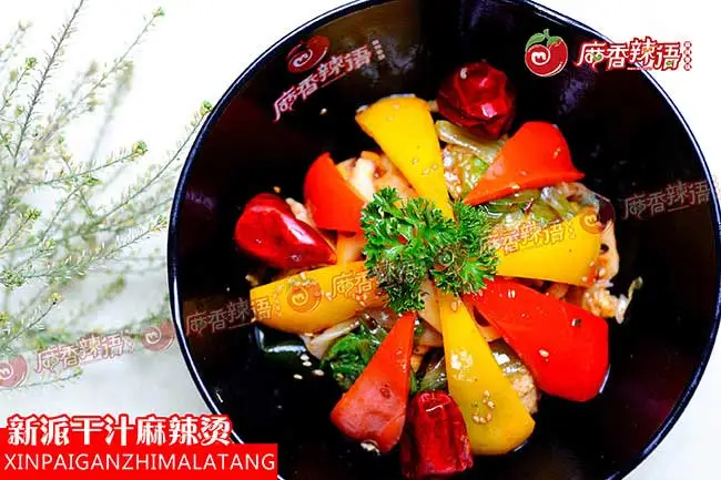 麻香辣语加盟支持